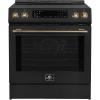 imageForno Donatello 30Inch Freestanding Induction Range 50 cuft Capacity  Stainless Steel with Antique Brass amp Stainless Handle  LED Screen 4 Radiant Elements Convection Oven  Model FFRBI646830