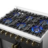 image:imageForno Galiano 36inch French Door Dual Fuel Range in Black amp Antique Brass Design 6 Sealed Burners 83000 BTU 536 cuft True Convection Oven